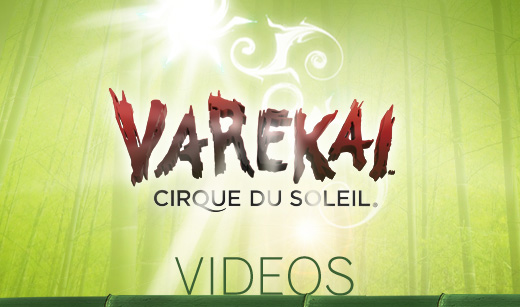 Cirque du Soleil – Varekai